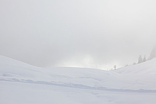 雪景,山丘,法国阿尔卑斯山
