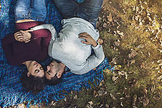 浪漫,情侣,躺着,毯子,树林