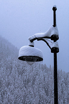 积雪,路灯柱,雪中,风暴,转,风景,雪,白色