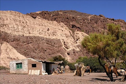彩色,砂岩构造,小屋,美洲驼,萨尔塔省,阿根廷,南美