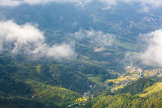 汉阴,凤凰山,云雾