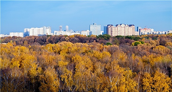 全景,城市,房子,秋天,树