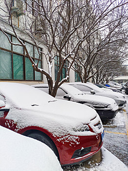 停车场里积雪覆盖的汽车