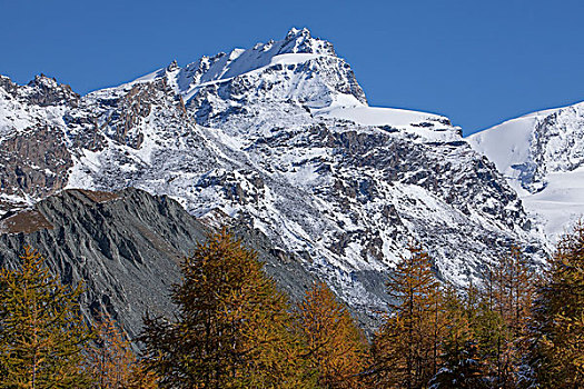 秋天,雪,策马特峰,瓦莱州,瑞士,欧洲