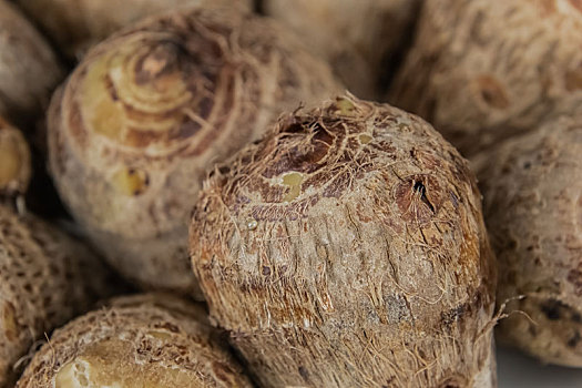 被子植物门新鲜芋头熟食品