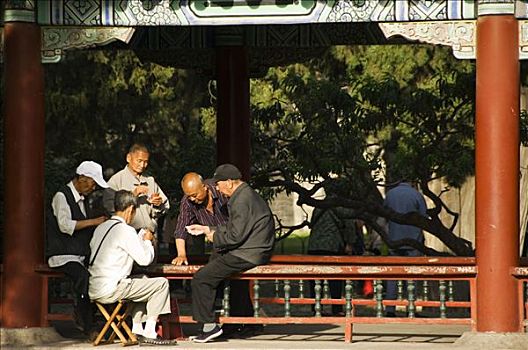 男人,纸牌,寺庙,北京,中国