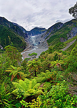 福克斯冰川,狐狸,河,热带,植被,地区,西海岸,南岛,新西兰,大洋洲