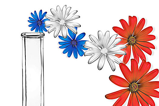 白色,蓝色,红色,花,旁侧,测验,科学,插画