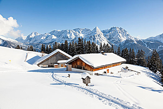 山脉,冬天,许多,雪,埃尔瓦尔德,著名,旅游,奥地利,提洛尔