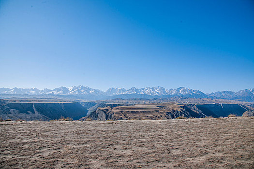 新疆安集海大峡谷边沿的草原