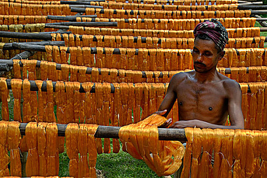 纤维,竹子,杆,孟加拉,八月,2008年