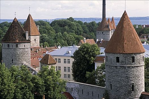 爱沙尼亚,塔林,塔,壁,城堡
