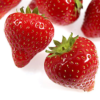 草莓,野草莓,水果,白色背景
