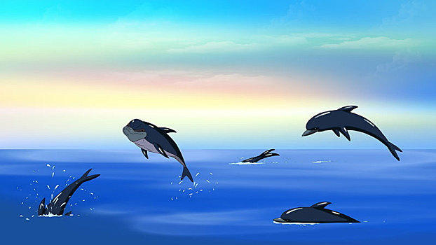 海豚,海洋
