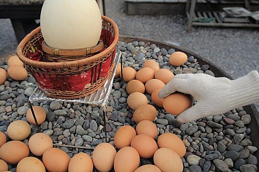 蛋,烘制,热,鹅卵石