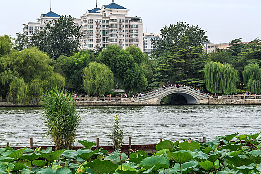 济南市大明湖城市湖泊风景