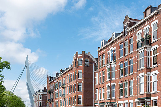 荷兰鹿特丹的伊拉斯缪斯大桥和红砖传统建筑