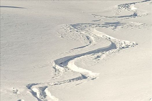 滑雪,小路,提洛尔,奥地利,欧洲