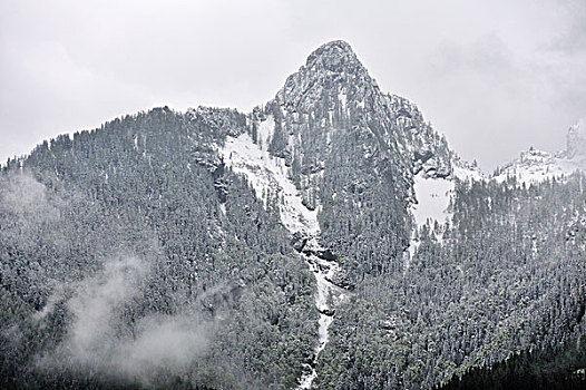 清新,雪,山,多云,早晨,拉姆绍,贝希特斯加登,陆地,区域,上巴伐利亚,德国,欧洲