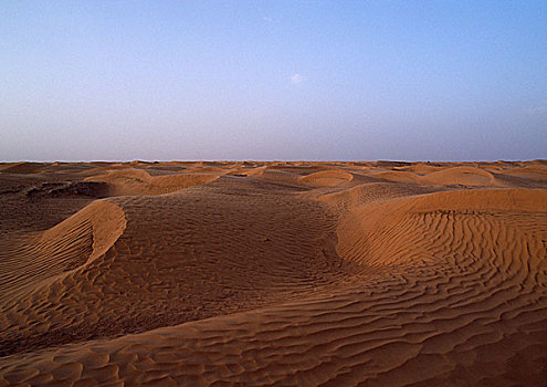 突尼斯,撒哈拉沙漠,波纹,沙丘