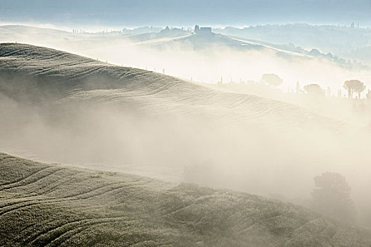 特色,托斯卡纳,风景,早晨,雾,靠近,圣奎里克,锡耶纳,地区,意大利