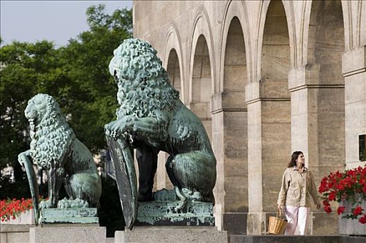 狮子,正面,市政厅,德累斯顿,萨克森,德国