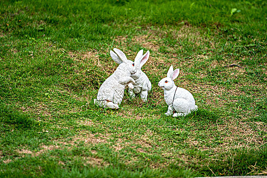 在郊外绿色草坪上的可爱兔子