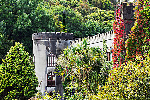 城堡,角塔,红色,常春藤,攀登,石头,棕榈树,树,遮盖,山坡,背景,克利夫登,戈尔韦郡,爱尔兰