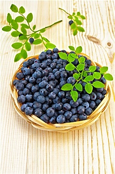 蓝莓,柳条盘,黑板