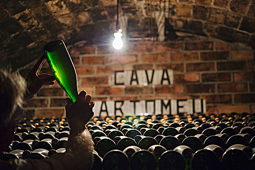 地窖,葡萄酒厂,西班牙