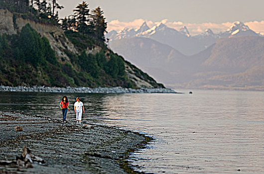 两个,女性,漫步,海滩,晚上,鹅,温哥华岛,不列颠哥伦比亚省,加拿大
