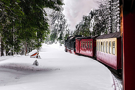 火车,布罗肯,冬季风景