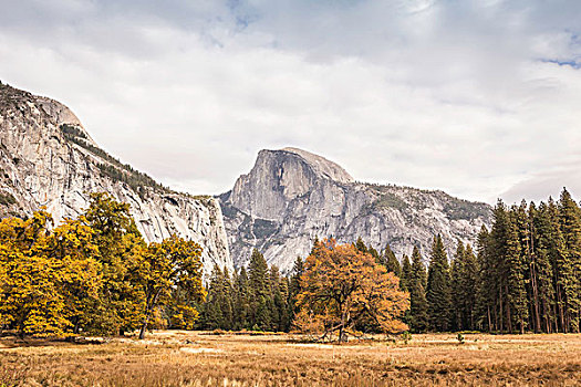 秋天,色彩,风景,山,优胜美地国家公园,加利福尼亚,美国
