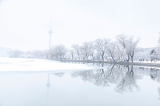 玉渊潭冬雪