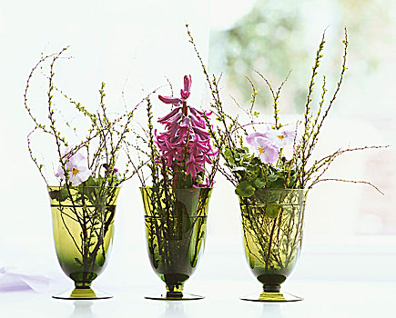 三个,花瓶,风信子,花朵,有角,紫罗兰