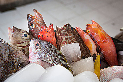 鱼,冰,市场,印度尼西亚