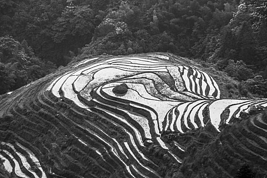 龙胜梯田黑白版画大地行为艺术