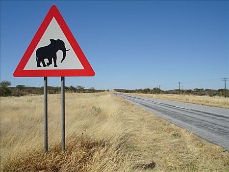 路标,大象,靠近,纳米比亚,非洲