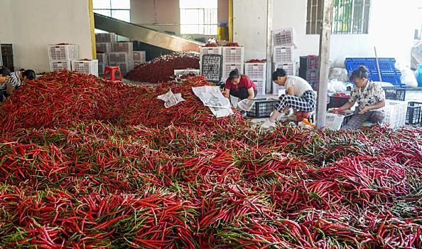 单梁起重机