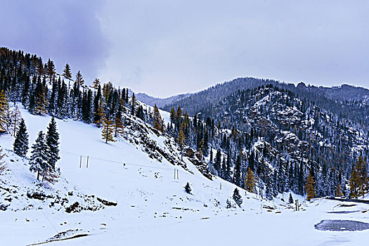 东天山雪景美如画