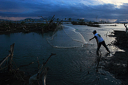 渔民,区域,红树,海啸,击打,十二月,2004年,印度尼西亚,七月,2007年