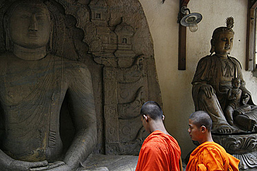 毛发,公用,展示,庙宇,科伦坡,斯里兰卡,孟加拉,标识,友谊,七月,2007年