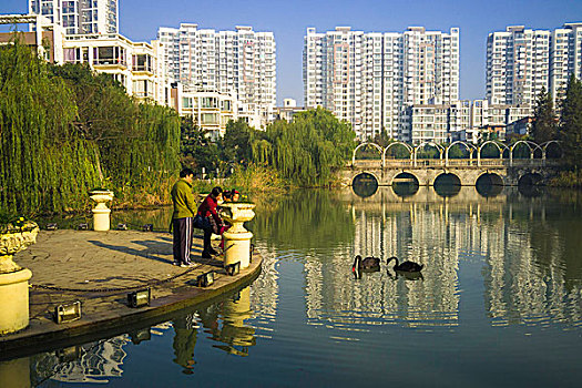 家门口的风景