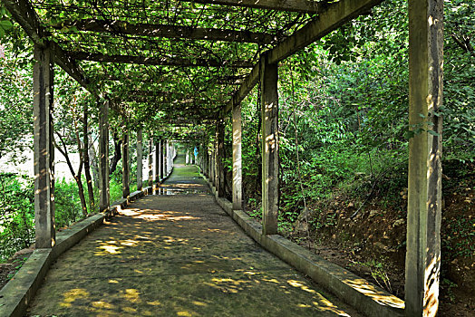 河北省石家庄平山县藤龙山风景区