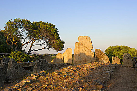 墓地,靠近,萨丁尼亚,意大利,欧洲