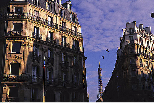 建筑,埃菲尔铁塔,巴黎,法国