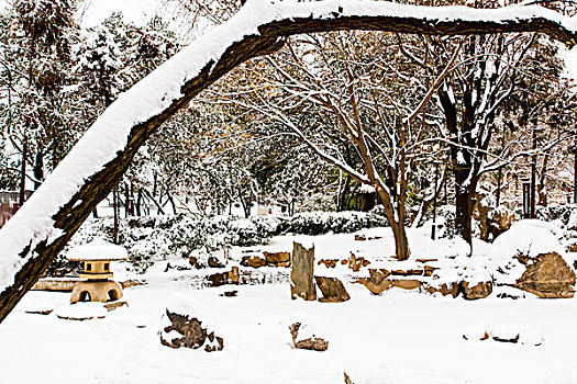 雪景