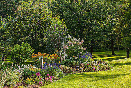 花,花园,魁北克,加拿大
