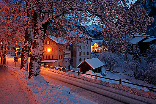 晚间,雪,乡村,瑞士,欧洲
