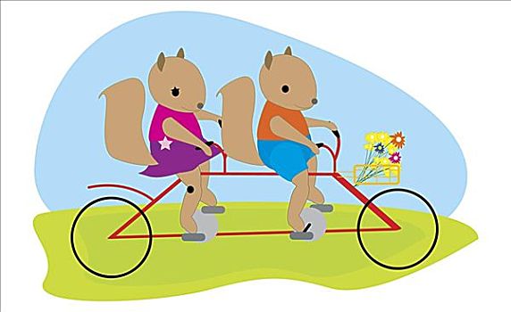 雄性,松鼠,女性,骑自行车